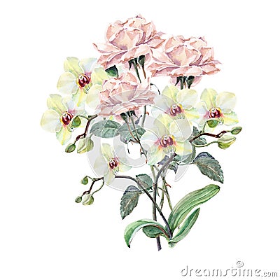 White orchid, pink rose flower on a branch, watercolor, bouquet Stock Photo