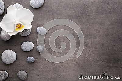 White orchid and spa stones on the grey background. Stock Photo