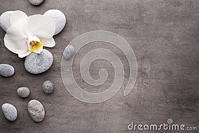 White orchid and spa stones on the grey background. Stock Photo