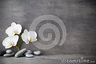 White orchid and spa stones on the grey background. Stock Photo