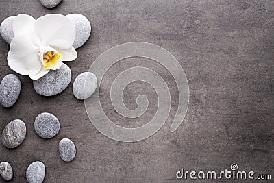 White orchid and spa stones on the grey background. Stock Photo