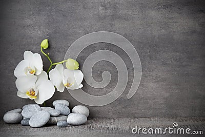 White orchid and spa stones on the grey background. Stock Photo