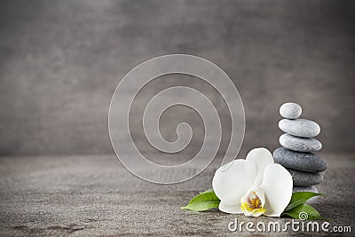 White orchid and spa stones on the grey background. Stock Photo