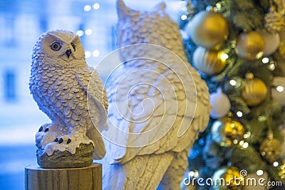 White owls Stock Photo