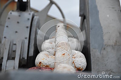 White painted anchor chain of the container vessel Stock Photo