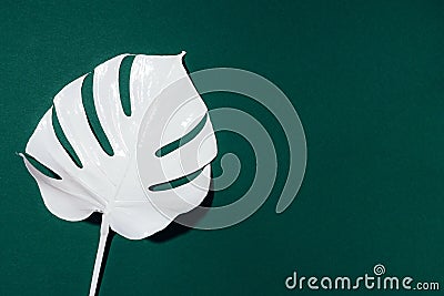 White painted monstera tropical leaf on green background. Summer minimal concept Stock Photo