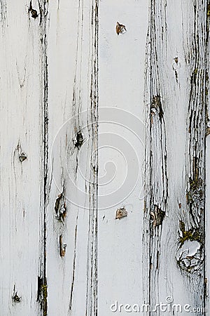 White painted wooden fence background with lots of texture and patterns in the wood grain.. Stock Photo