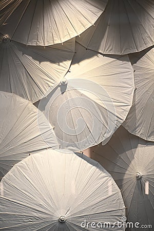 Decorative display of white paper umbrellas Stock Photo
