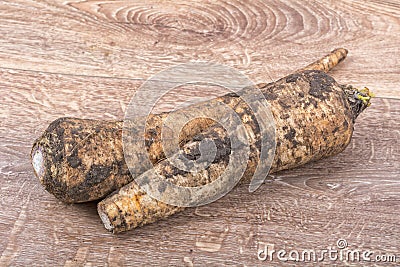 White parsley on a brown background Stock Photo