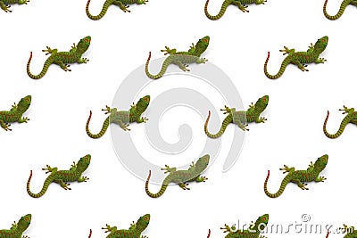 White Pattern of Green Madagascar day gecko isolated on white background Stock Photo