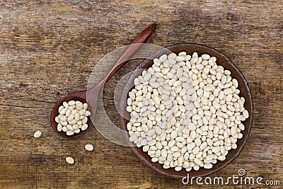 White pea beans, also called Navy bean, Pearl Haricot, Boston be Stock Photo