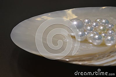 White pearls in a shell Broome Western Australia Stock Photo