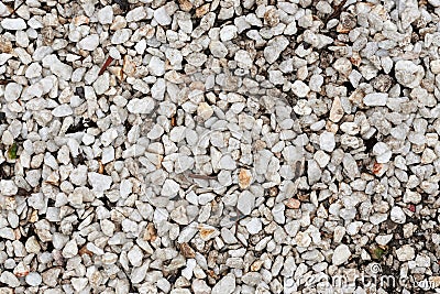 White pebble close up image, stone texture background. Stock Photo