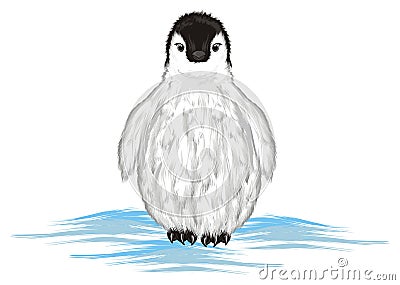 Penguin and blue land Stock Photo