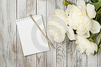 White peonies flowers with notebook and pencil on white painted wooden planks. Place for text. Top view. Stock Photo