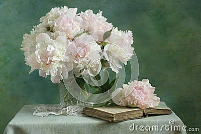 White peonies Stock Photo