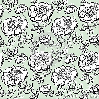 White peony floral sketch. spring flower Vector Illustration