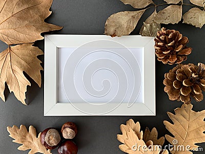 White photo frame mock up with dry leaves, pine cones and chestnuts on dark background Stock Photo