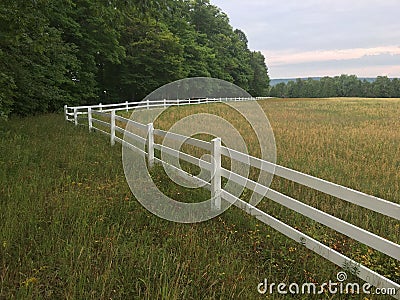 White Picket Fence Over Barley Field Stock Photo