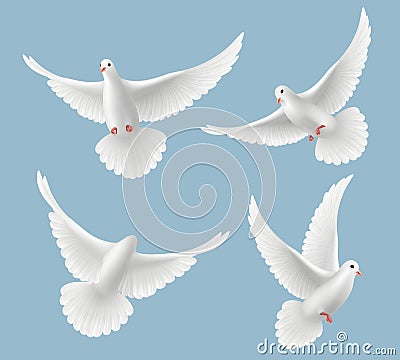 White pigeons. Dove love flying birds in sky symbols of freedom and wedding vector realistic pictures Vector Illustration