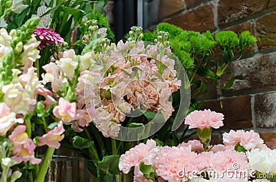 white and pink carnations close bouquet on showcase Stock Photo