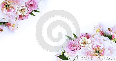 White and pink peonies on a white background. A delicate festive composition. Stock Photo