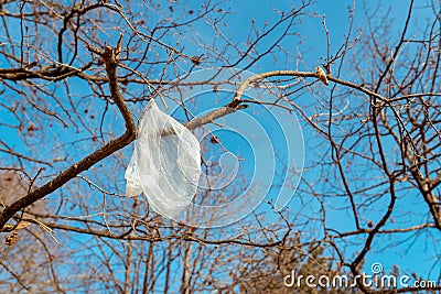 White plastic bag on tree Stock Photo