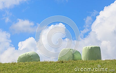 The white plastic wrapped round hay bales (silage) with clear bl Stock Photo