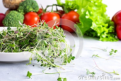 White plate with fresh micro greens is on a white plate with green and red vegetable Stock Photo