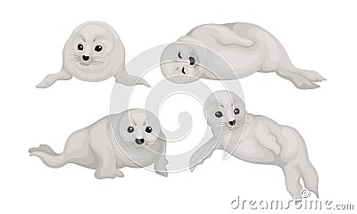 White Playful Fur Seal Lying and Rolling Vector Illustrations Set Vector Illustration