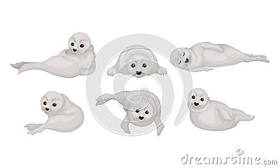 White Playful Fur Seal Lying and Rolling Vector Illustrations Set Vector Illustration