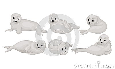 White Playful Fur Seal Lying and Rolling Vector Illustrations Set Vector Illustration