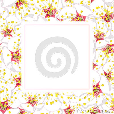 White Plum Blossom Flower Banner Card. Vector Illustration Vector Illustration