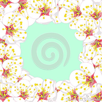 White Plum Blossom Flower Border isolated on Green Mint Background. Vector Illustration Vector Illustration