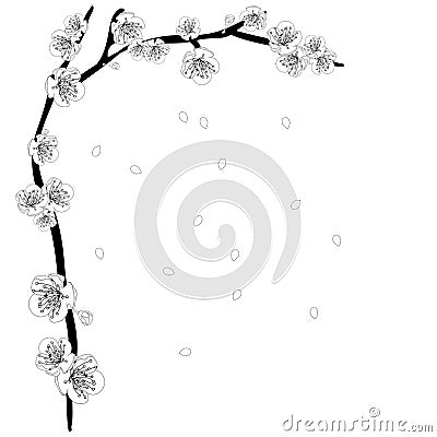 White Plum Blossom Flower Outline Border. Vector Illustration. Vector Illustration