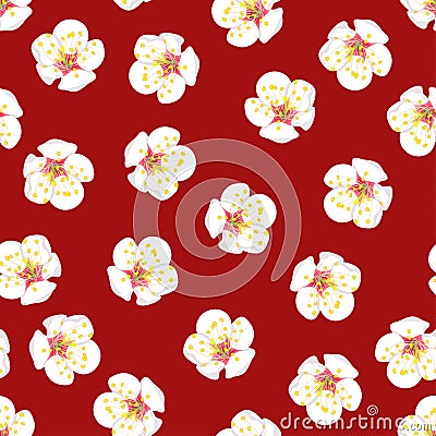 White Plum Blossom Flower Seamless on Red Background. Vector Illustration. Vector Illustration