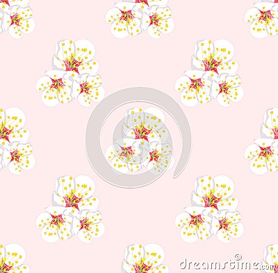 White Plum Blossom Seamless on Pink Background. Vector Illustration. Vector Illustration