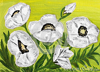 White poppies, oil painting Stock Photo