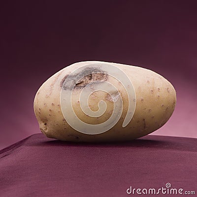 White potato.disease attacked potato Stock Photo