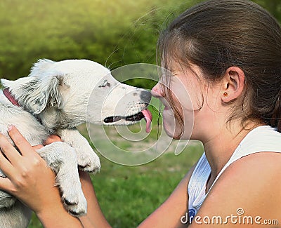 White puppy lick girl lips Stock Photo