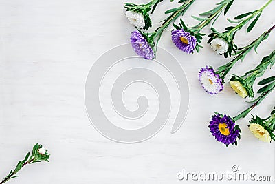 White and purple asters on white wooden background Stock Photo