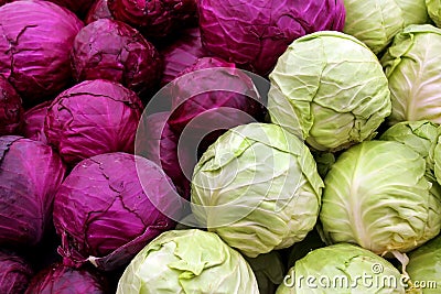 White and purple cabbage Stock Photo