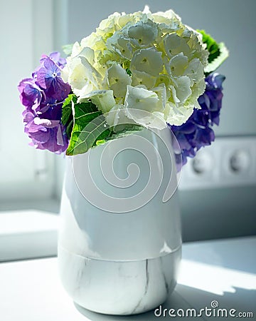 White and purple hydrangeas in vase. Home decoration. Flowers in vase. Stock Photo