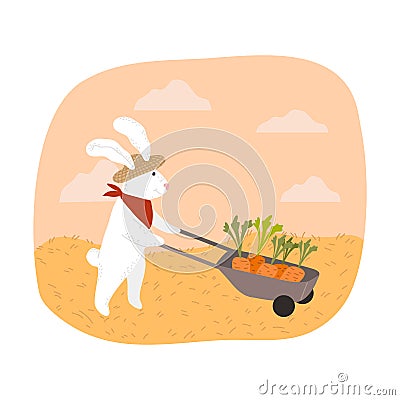 White rabbit farmer carrying picked carrots in wheelbarrow during harvesting Vector Illustration