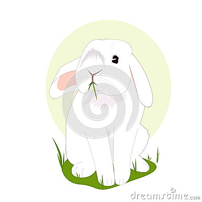White rabbit on the grass Vector Illustration
