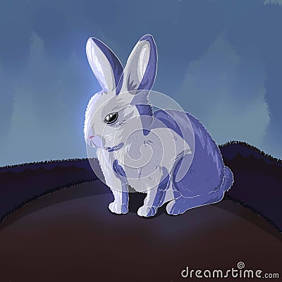 A white rabbit sits on the ground at night and the moon is shining Stock Photo