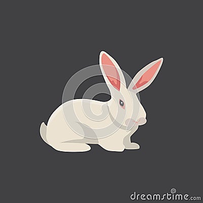 White rabbit vector Vector Illustration