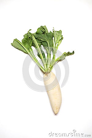 White radish on white background Stock Photo