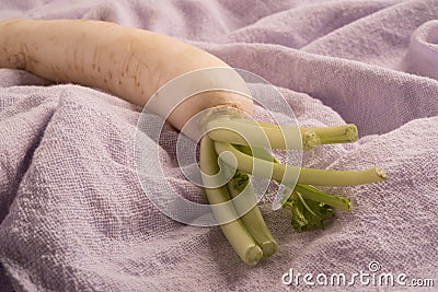 White radish on purple color cloth. Stock Photo