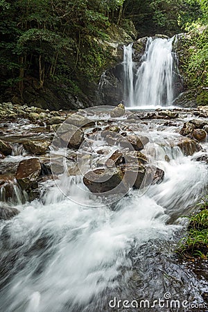 White rapid brook Stock Photo